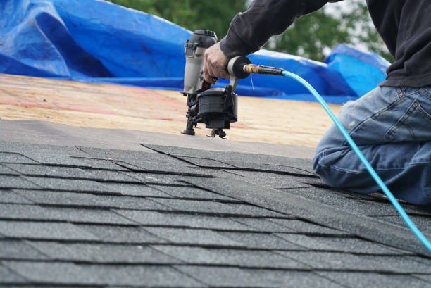 Gutter Installation and Roofing in Columbia, IL