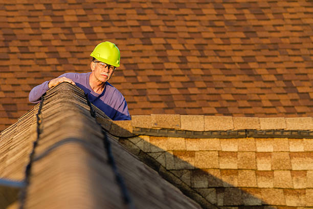 Best Roof Maintenance Services  in Columbia, IL