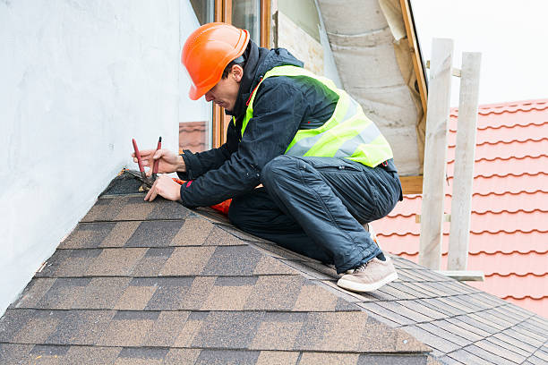 Best Metal Roofing Contractor  in Columbia, IL